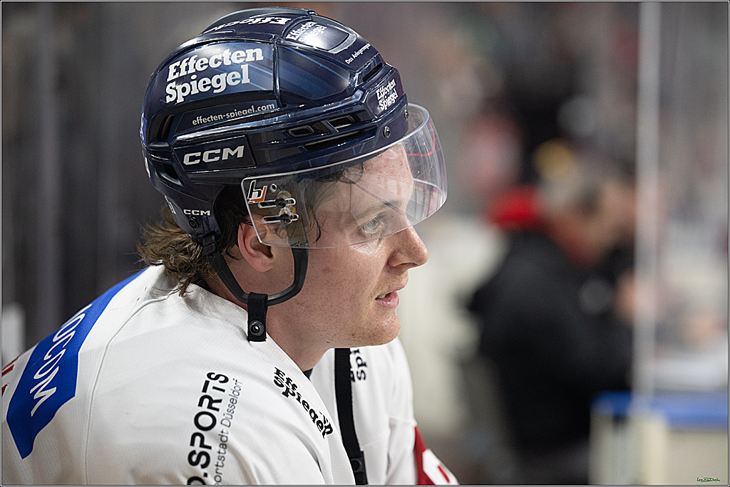 PENNY DEL; Koelner Haie-Duesseldorfer EG ; Koeln, 16.02.2025